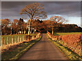 Minor road near Calderstone House, East Kilbride in G75 0ZW