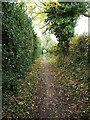Southern end of the bridleway in ST17 0TP