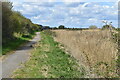Cycle path to Rainham, beside Common Watercourse in RM13 9YB