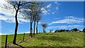 Footpath, fence and trees - heading WSW in TN21 0NE