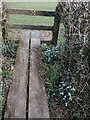 Snowdrops on the footbridge in BA3 4UJ