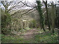 Footpath off Cherry Tree Hill. in TF4 3NY