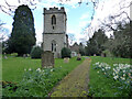 Church of St Peter, Abbots Morton in WR7 4LT