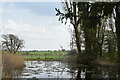 Farm Pond at Tye Hall in CM1 4NL