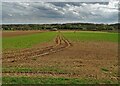 Farmland south of Lady Gap Lane in DN6 9JX