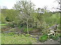Footbridge over Valance Beck in WF14 8EX