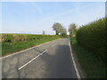 A hedge enclosed Havercroft Lane near Darrington in WF8 3DH