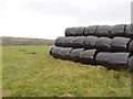 Bales in black plastic at Pencuke in EX23 0BH