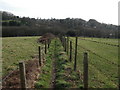 Footpath to Hyde in SP6 2HG