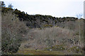 Disused Quarry at Rossie Braes in KY14 7AE