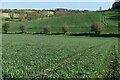 Sloping fields above the Wallop Brook in SO20 8EU