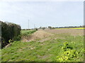 Fallow headland with distant poultry unit in NR12 9HB