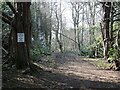 Permissive path in Brockley Wood in BS48 4AY