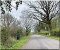 Baughurst Road near Batt's Copse in RG26 5SW