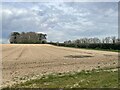 Ploughed field near Park Farm New Covert in Friston