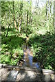 Stream, Little Birch Wood in TN22 3BG