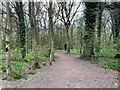 Footpath through Crabtree Plantation in RG24 7AS