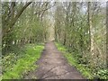 Former railway track, now footpath in SK11 0RH