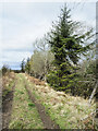 Track between road and Routing Glen in EH37 5SY