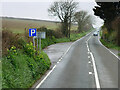 Layby on the A387 near Waylands in PL13 2JR