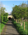 Footpath and former railway bridge in DH3 4BH