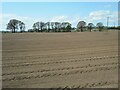 Ploughed and harrowed in G64 4HD