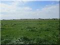 Grass field near Beech Tree Farm in PE22 0AN