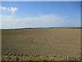 Prepared field, Freiston Ings in PE22 0TD