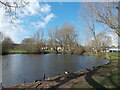 The pond at Theydon Green in CM16 7JA