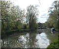 Canal to the east of Roydon Lock in CM19 5EF