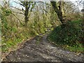 Track to a ford near Nolton, Pembrokeshire in SA62 3NN