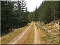 Forestry track above Glen Garry in PH35 4HR