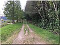 Forestry entrance near Inverinate in IV40 8HE