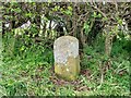 Old Boundary Marker on the A684 Stokesley Road in DL6 1RG