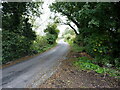 Narrow lane east of Acton Trussell in Acton Trussell and Bednall