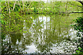 Pond, Leigh Mill House in RH9 8EX