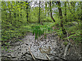 A drying pond, The Nye, Ditchling in BN6 8UD
