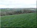 Pastures and a wooded valley in PL30 5NQ
