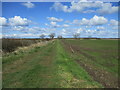Field edge track and footpath north of Carr House farm in HU7 5XZ