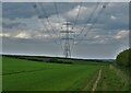 Pylons marching over The Yorkshire Wolds in HU20 3XH
