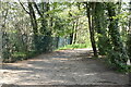 Footpath, Selsdon Wood in CR2 8SZ