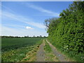 Bridleway to the A1, Edworth in SG18 9SZ