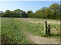 Footpath Felsted 10 south from Flitch Way in CM6 3DF