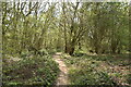 Footpath, Frylands Wood in CR0 0JT