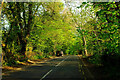 Church Road, Whyteleafe in CR3 5FX