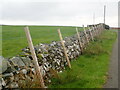 Dry stone wall near Braich-y-Saint in LL52 0PH
