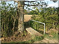 Footbridge near Newhouse Farm in TN27 0DZ