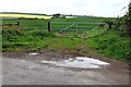 Puddle near a field gate, Peterstow in HR9 6LZ