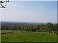 View from Line Hill, Chaddesley Woods National Nature Reserve in B61 9EG
