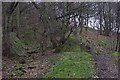 Quarry Track and Footpaths in Strangstry Wood in HX5 9PU